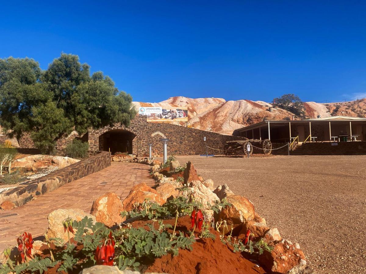 Ali'S Underground Home كوبر بيدي المظهر الخارجي الصورة